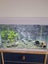70 L Fish Tank - Ecostyle 61 - Aqua One Carousel 3