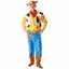 Woody Deluxe Sheriff Woody Pride Toy Story Disney Pixar Cowboy Mens Costume Carousel 1
