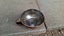 Vintage Hand-Hammered Copper Bowl With Tin Interior Carousel 4
