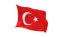 Flag Turkish 1.5m x 90cm Carousel 1