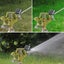 Garden Sprinkler Adjustable Irrigation System *Over Stocked* Carousel 11