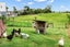 gallery view thumbnail