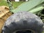 Komatsu 515 Loader - Located in Rotorua Carousel 8