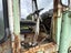 Komatsu 515 Loader - Located in Rotorua Carousel 13