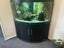 Fish tank and accessories Carousel 1