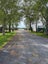 gallery view thumbnail