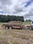 Loading Image 4 of 4