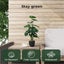 Lambu 50cm Artificial Plant Fiddle Leaf Fig Tree Fake Greenery Indoor Outdoor Carousel 3
