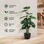 Lambu 50cm Artificial Plant Fiddle Leaf Fig Tree Fake Greenery Indoor Outdoor Carousel 6