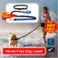Dog Leash Collars Hands-Free Retractable *Local STOCK NOW* Carousel 3
