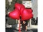 60Inch Red Heart Shaped Balloons For Wedding Birthday Decor Carousel 7