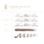 Ferris Wheel Press Calligraphy Ink Timeworn Treasures 28ml Carousel 2