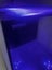 Fish tank: 20L Cube box aquarium Carousel 3