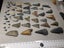 Fossil Shark Tooth Bulk - USA - $1 RES - Over 50 Teeth! Carousel 6