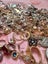 Very big bulk lot of jewellery Carousel 17