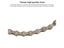 Bicycle Cassette Sprocket Extractor Tool For MTB Bike Repair Carousel 4