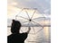 Outdoor Windproof Triple Fold Transparent Rain Umbrella Carousel 8