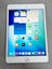 iPad mini 5 64GB WiFi and Cellular Silver + Free Shipping Carousel 4