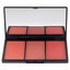 3 ShadesPowder Blush Palette - Untameable by Klara for Women - 0.35 oz Makeup Carousel 2