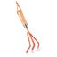 Garden Tool Set x 3 - Orange Carousel 4