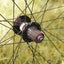 WTB MTB 27.5" Wheelset with Continental Tyre Carousel 7