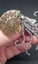 Ammonite fossil brooch Carousel 4
