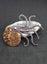 Ammonite fossil brooch Carousel 6