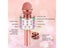 Portable Wireless Bluetooth Karaoke Microphone For Singing Carousel 5