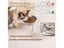 Raised Stainless Steel Cat Food And Water Bowls Carousel 7