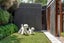 gallery view thumbnail