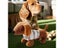 Interactive Plush Squeaky Dog Puzzle Toy For Aggressive Chewers Carousel 5