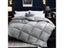 Warm Thick Goose Down Duvet Comforter Blanket Carousel 6
