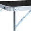 vidaXL Foldable Camping Table Grey Aluminium 120x60 cm Carousel 7