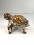 Hand Blown Glass Turtle Ornament with Dichroic Eyes - $1 Reserve Charity Auction Carousel 3