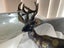 Mid century brass deer with hand etched detailing Carousel 9
