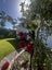 gallery view thumbnail