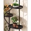 Flower Rack Living Room Floor Standing Storage Carousel 3