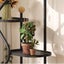 Flower Rack Living Room Floor Standing Storage Carousel 4