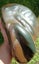 Stunning Heirloom Pounamu Taonga Carousel 3