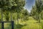 gallery view thumbnail