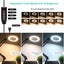 Magnifying Desk Lamp - (NZ CLEARANCE) Carousel 2