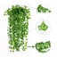 12 Pack 79 Feet Artificial Ivy Leaf Leaves Grass Plants Vine Fake Greenery Ga Carousel 2