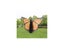 Loading Image 1 of 9