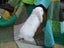 Mini Lop Rabbits Carousel 9