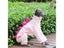 Italian Greyhound Dinosaur Costume Polar Fleece Onesie Carousel 4