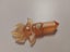 Skylanders Trap Team Tech Scepter Trap Crystal Carousel 1