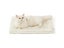Self Warming Washable Mat For Small Cats Dogs Carousel 1