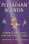 The Pleiadian Agenda Carousel 1