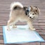 Puppy Training Pads (OVER STOCKED) Carousel 4