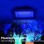 Black Light NZ Clearance Carousel 7